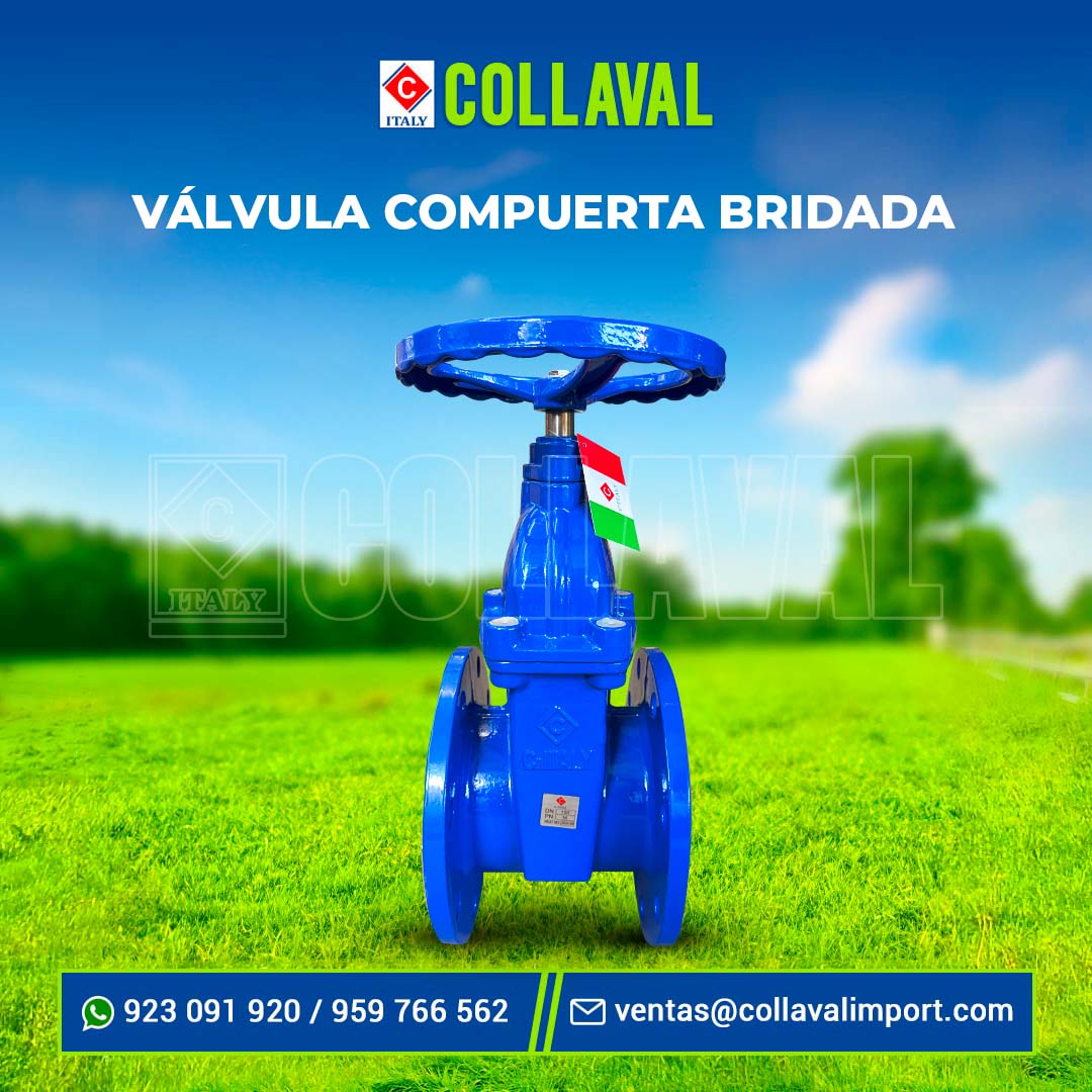 valvula compuerta bridada